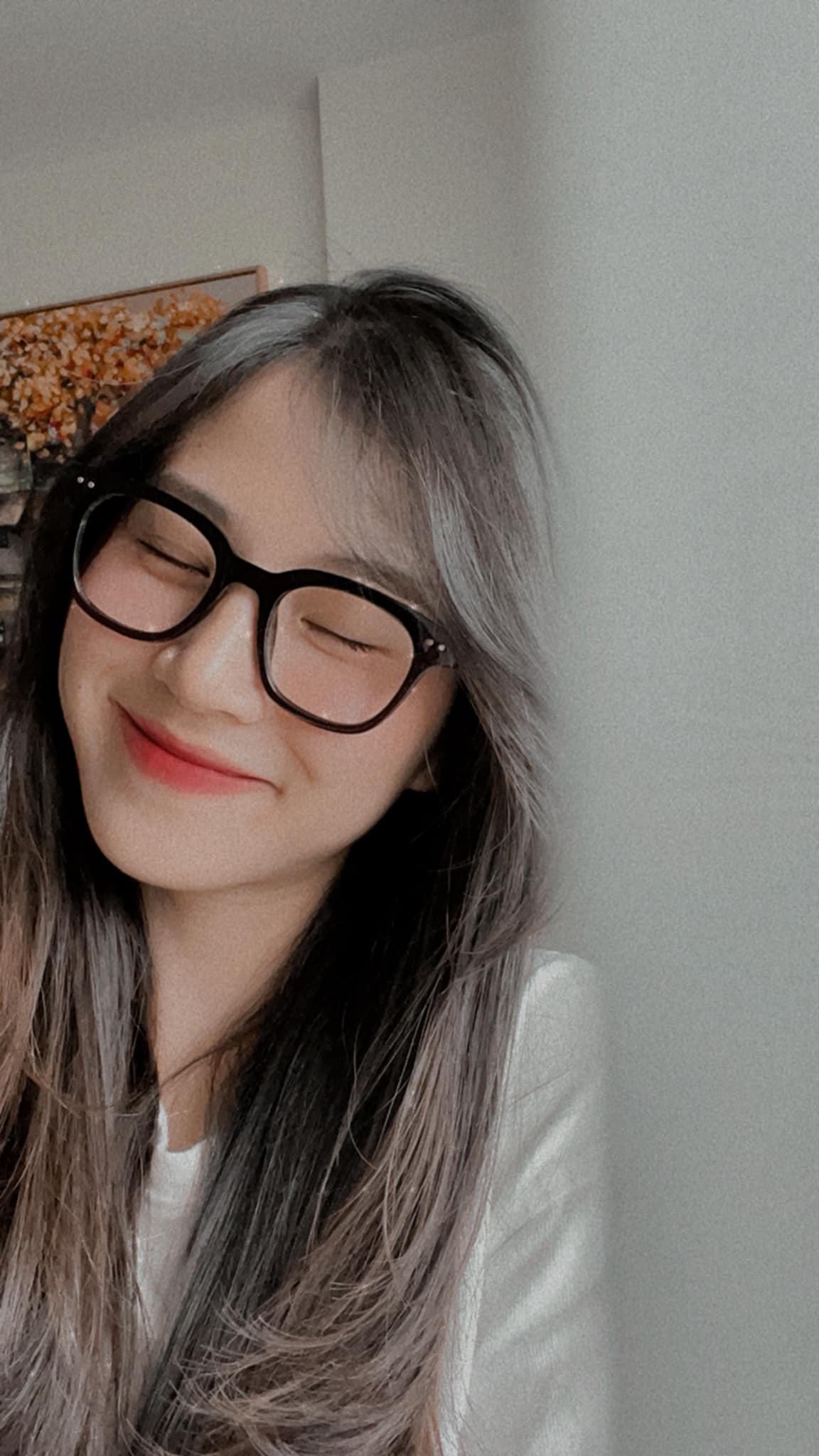 van choe la ai dspl 4