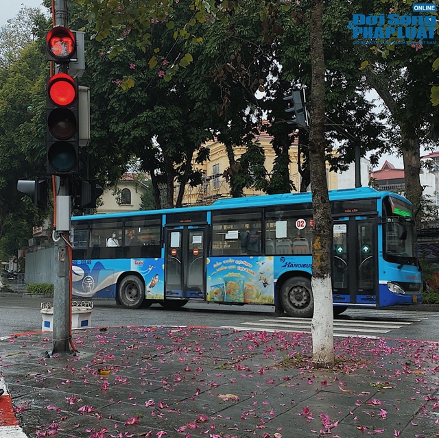 ha noi mua ret 3 ha noi mua ret 3