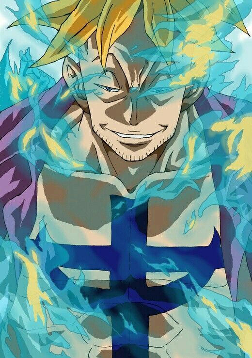 trai ac quy trong one piece 22 trai ac quy trong one piece 22