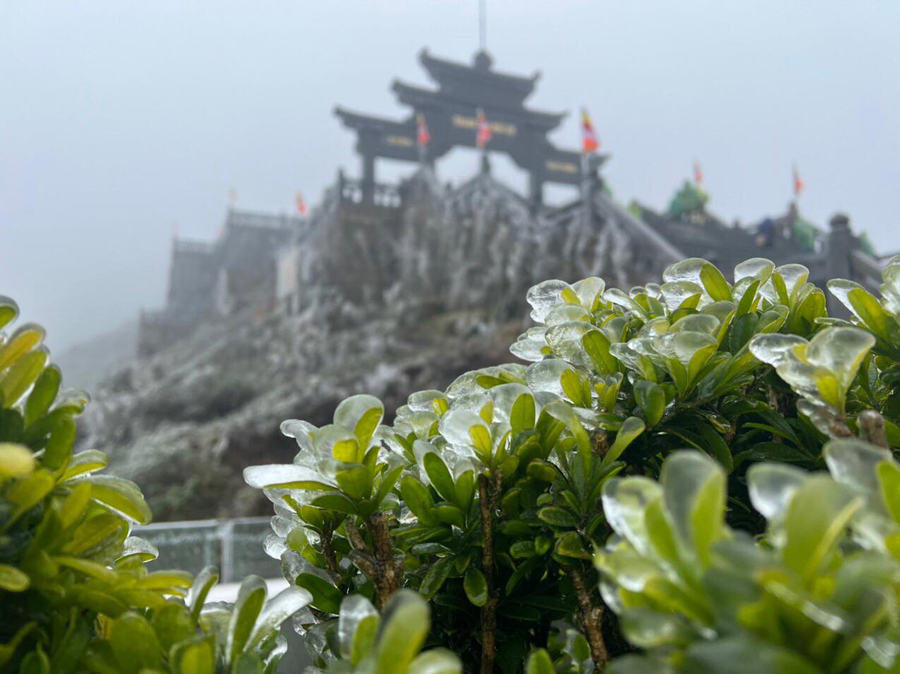 bang gia phu trang khu vuc dinh fansipan trong cai ret nang ban0 bang gia phu trang khu vuc dinh fansipan trong cai ret nang ban0
