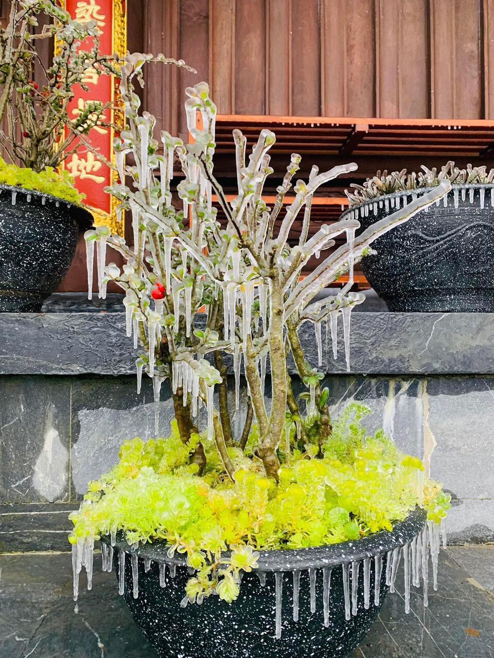 bang gia phu trang khu vuc dinh fansipan trong cai ret nang ban09 bang gia phu trang khu vuc dinh fansipan trong cai ret nang ban09