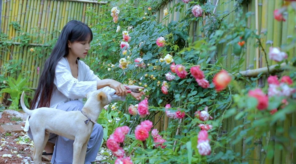 tien nu dong que ly tu that mat hang trieu fan 4 tien nu dong que ly tu that mat hang trieu fan 4