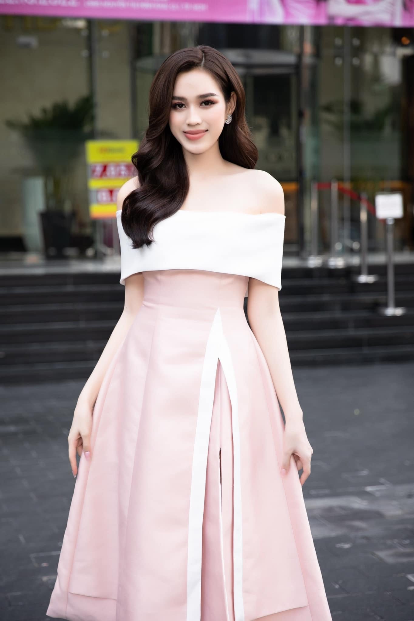 hoa hau do thi ha bi cong ty quan ly cho ra ria 1 hoa hau do thi ha bi cong ty quan ly cho ra ria 1