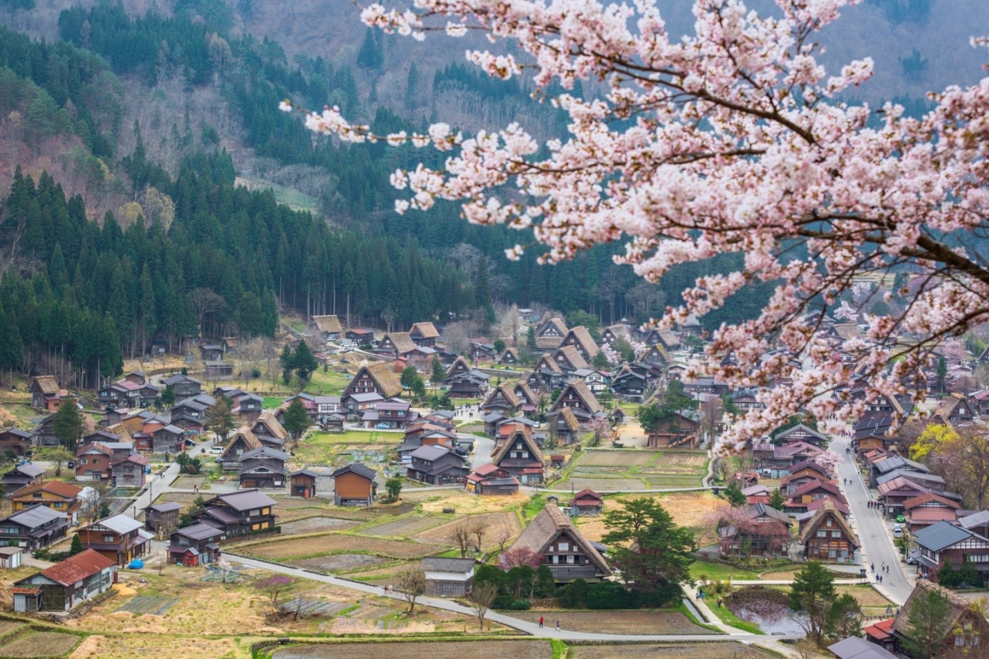 shirakawago shirakawago
