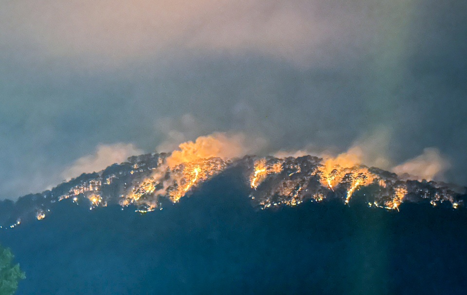 vu chay rung thong o da lat dspl