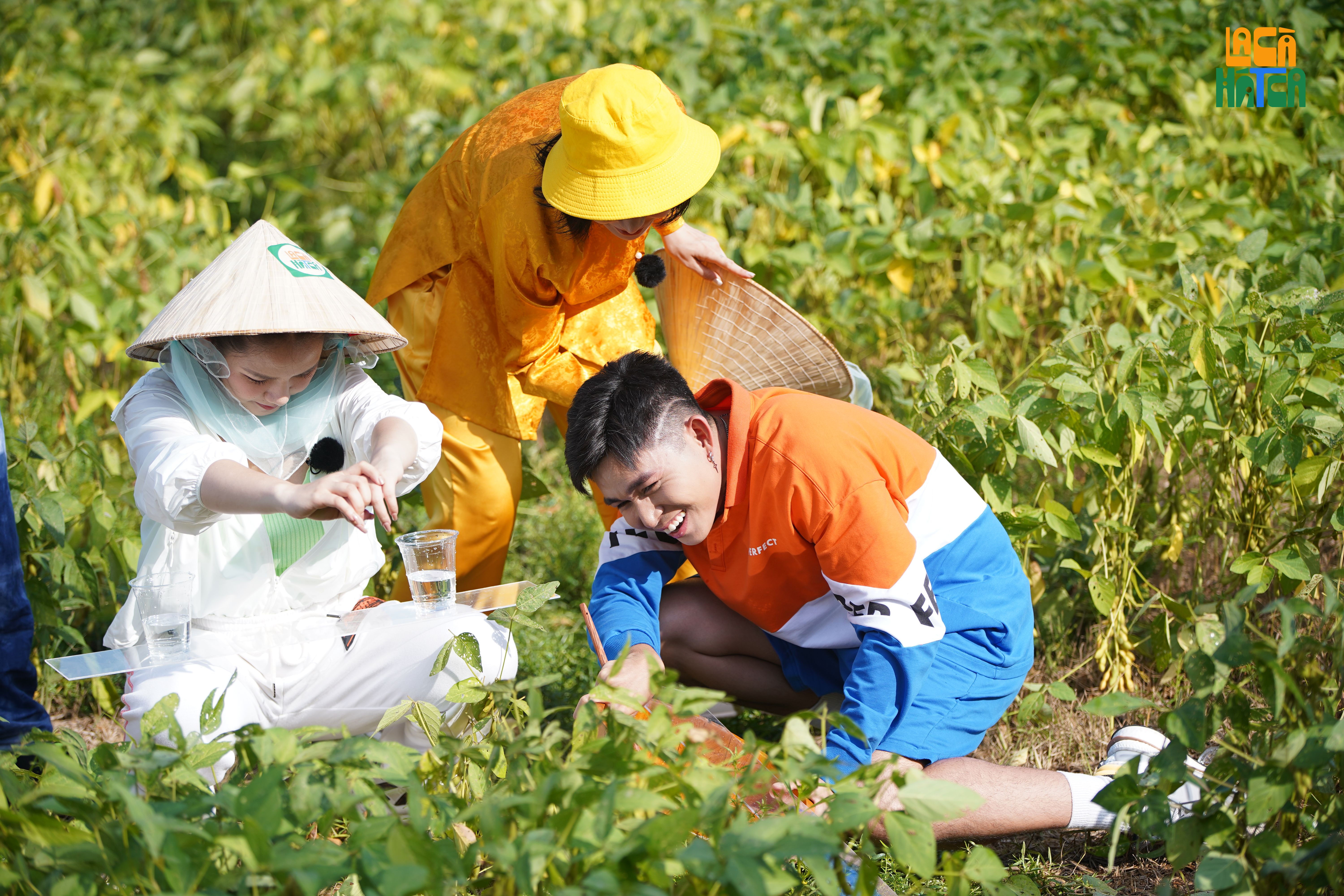 ban sao cua kpl04920