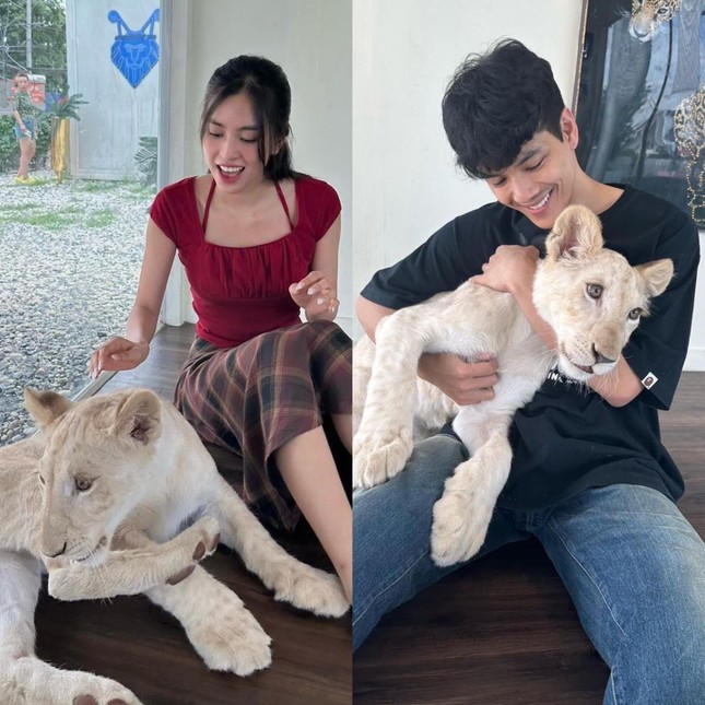 ban trai tin don cua hoa hau tieu vy tai tu thai lan 33 tuoi co 2 trieu nguoi follow dspl ban trai tin don cua hoa hau tieu vy tai tu thai lan 33 tuoi co 2 trieu nguoi follow dspl