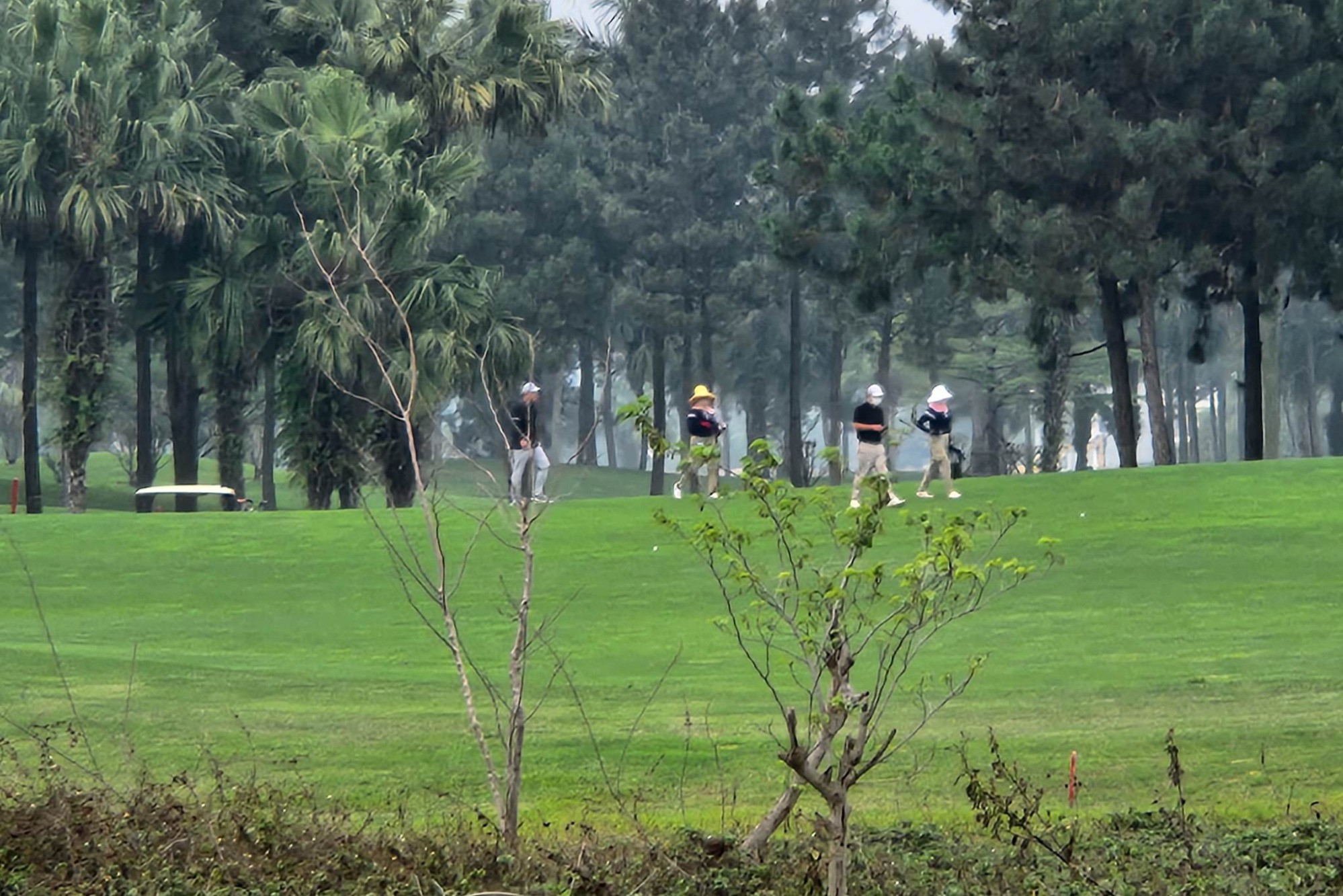 sangolf 1 841 375 sangolf 1 841 375