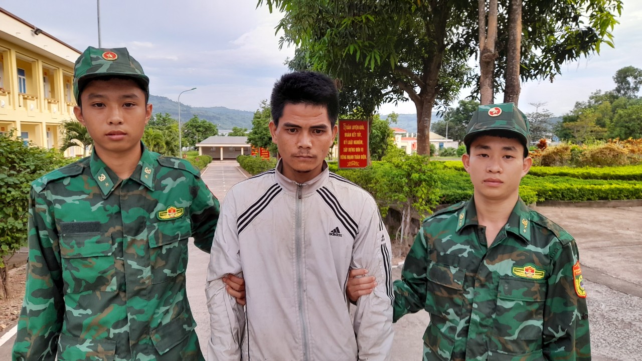 z4620382634444ff6ea z4620382634444ff6ea