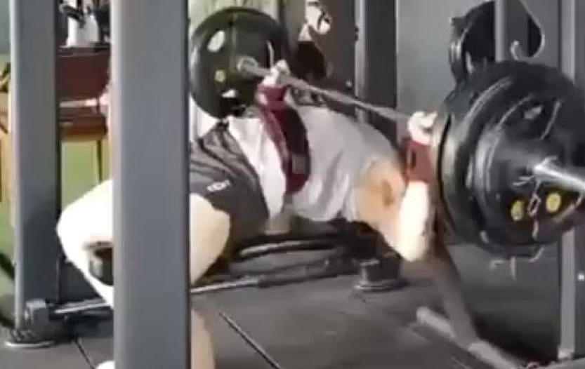 bi ta nang 100kg de len co nam thanh nien tu vong tai phong gym