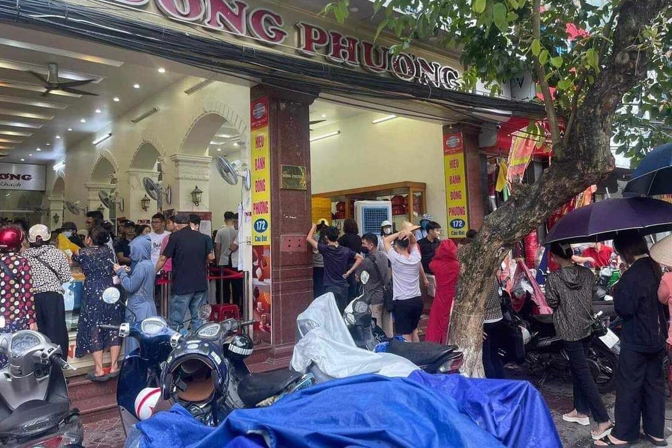 banh dong phuong 3 edited 1695736984005 banh dong phuong 3 edited 1695736984005