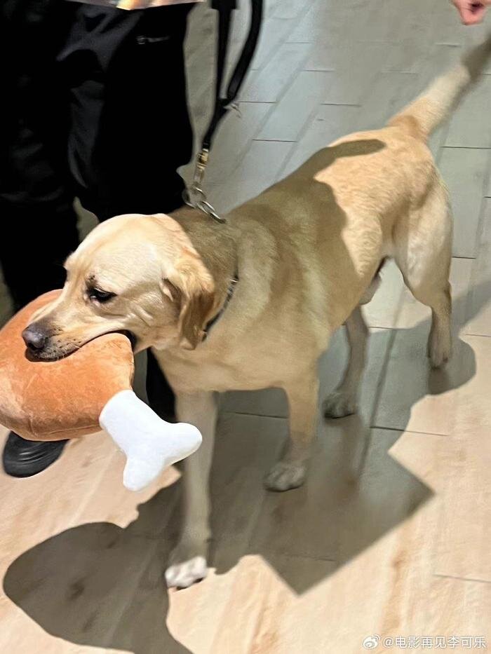 he lo hinh anh nhan vat phu bat ngo cuop song dam tung van 2 he lo hinh anh nhan vat phu bat ngo cuop song dam tung van 2