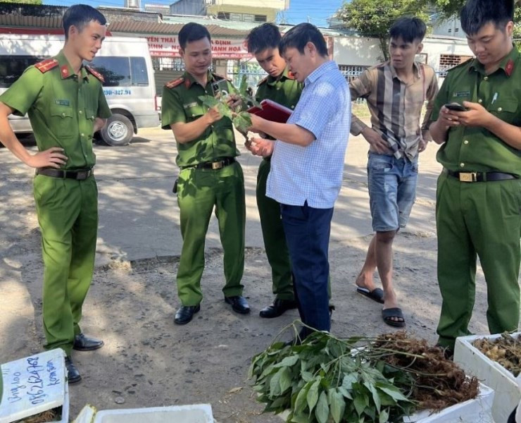 thu giu hang chuc kg nghi gia sam ngoc linh bi bo quen tai ben xe khach1 thu giu hang chuc kg nghi gia sam ngoc linh bi bo quen tai ben xe khach1