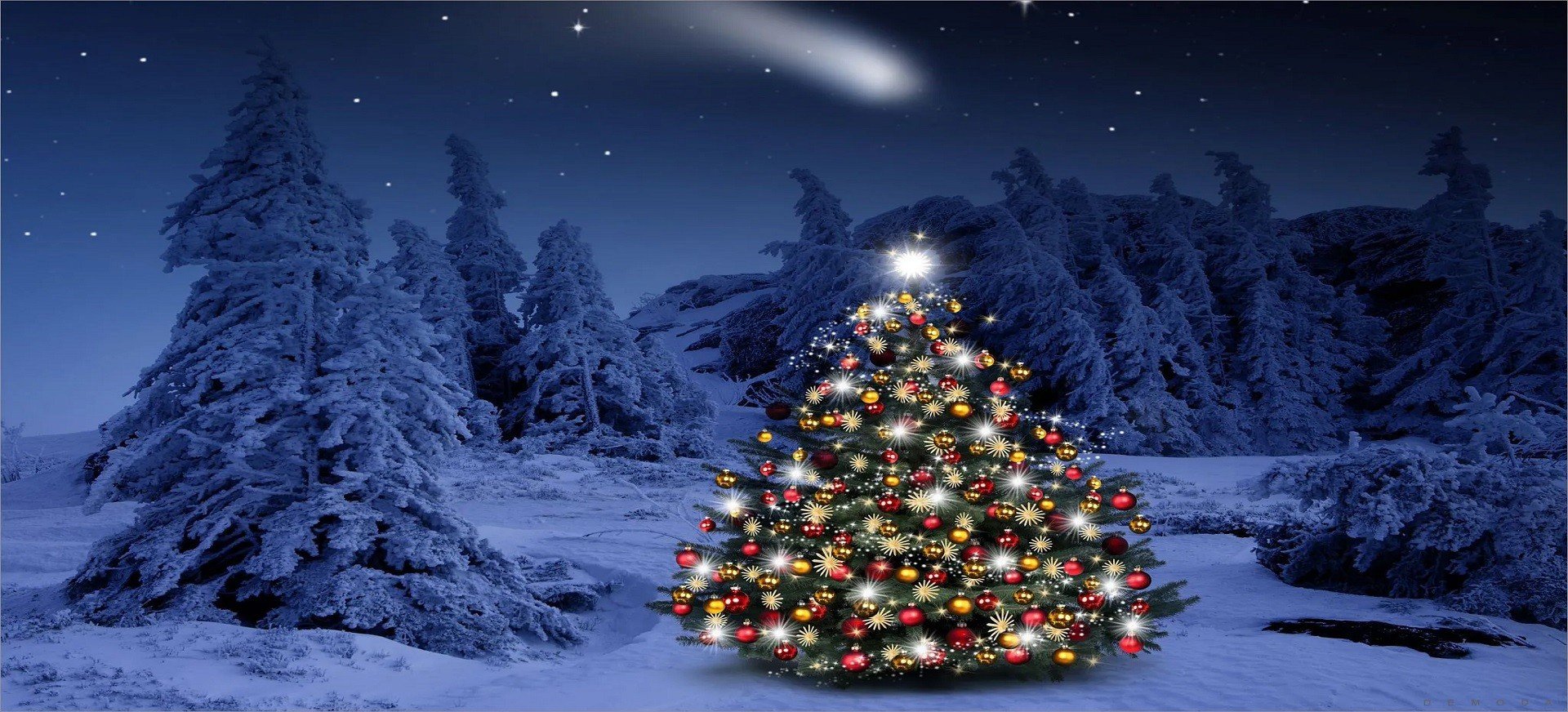 nguon goc y nghia cua cay thong noel trong ngay giang sinh 2 nguon goc y nghia cua cay thong noel trong ngay giang sinh 2