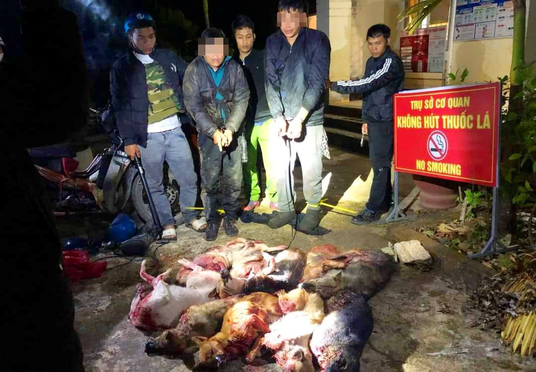 tin tuc phap luat moi nhat ngay 31 12 2023 bat qua tang 2 doi tuong trom cho mang di tieu thu o kon tum