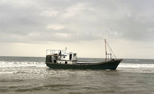 ban dau gia tien ty 5 tau ma troi dat vao bo bien quang tri 2