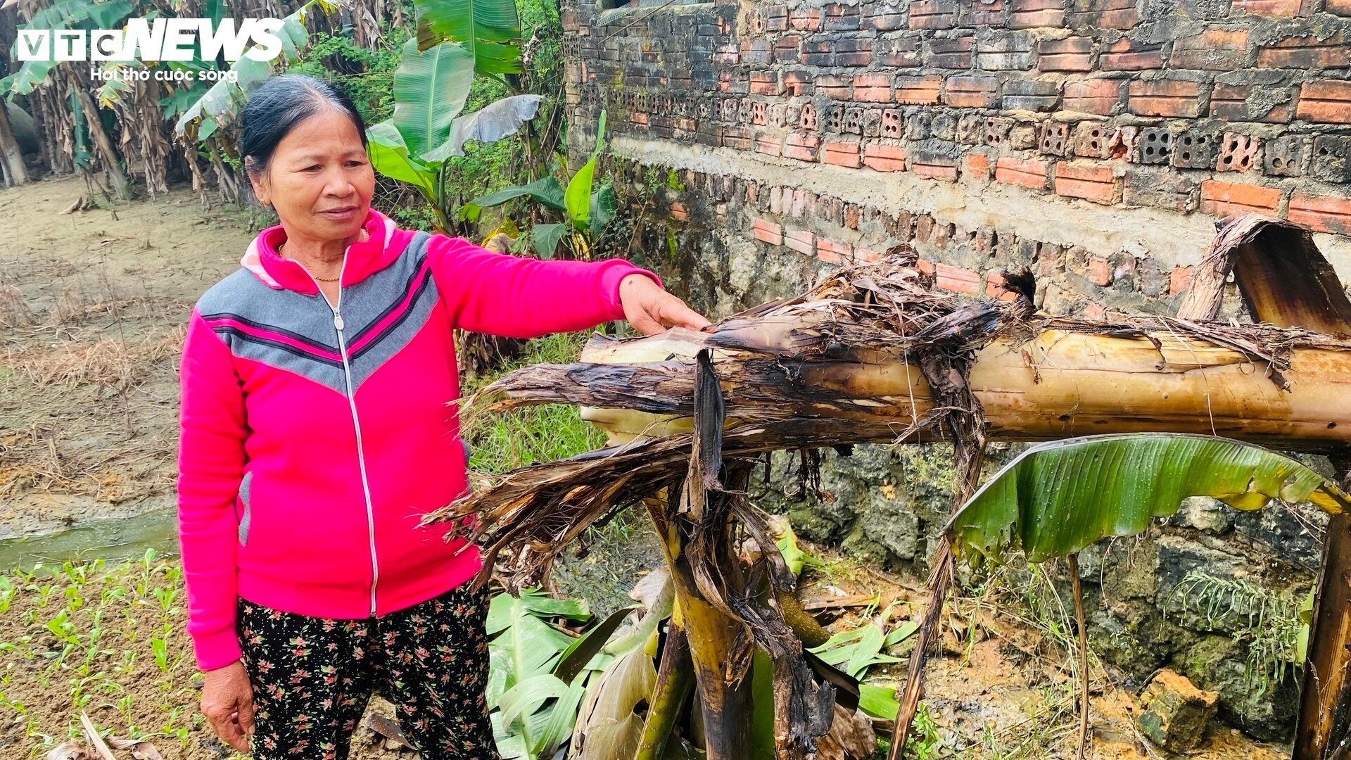 nguoi dan leo bui tre gom manh vo may bay su 22m4 roi tai quang nam 15