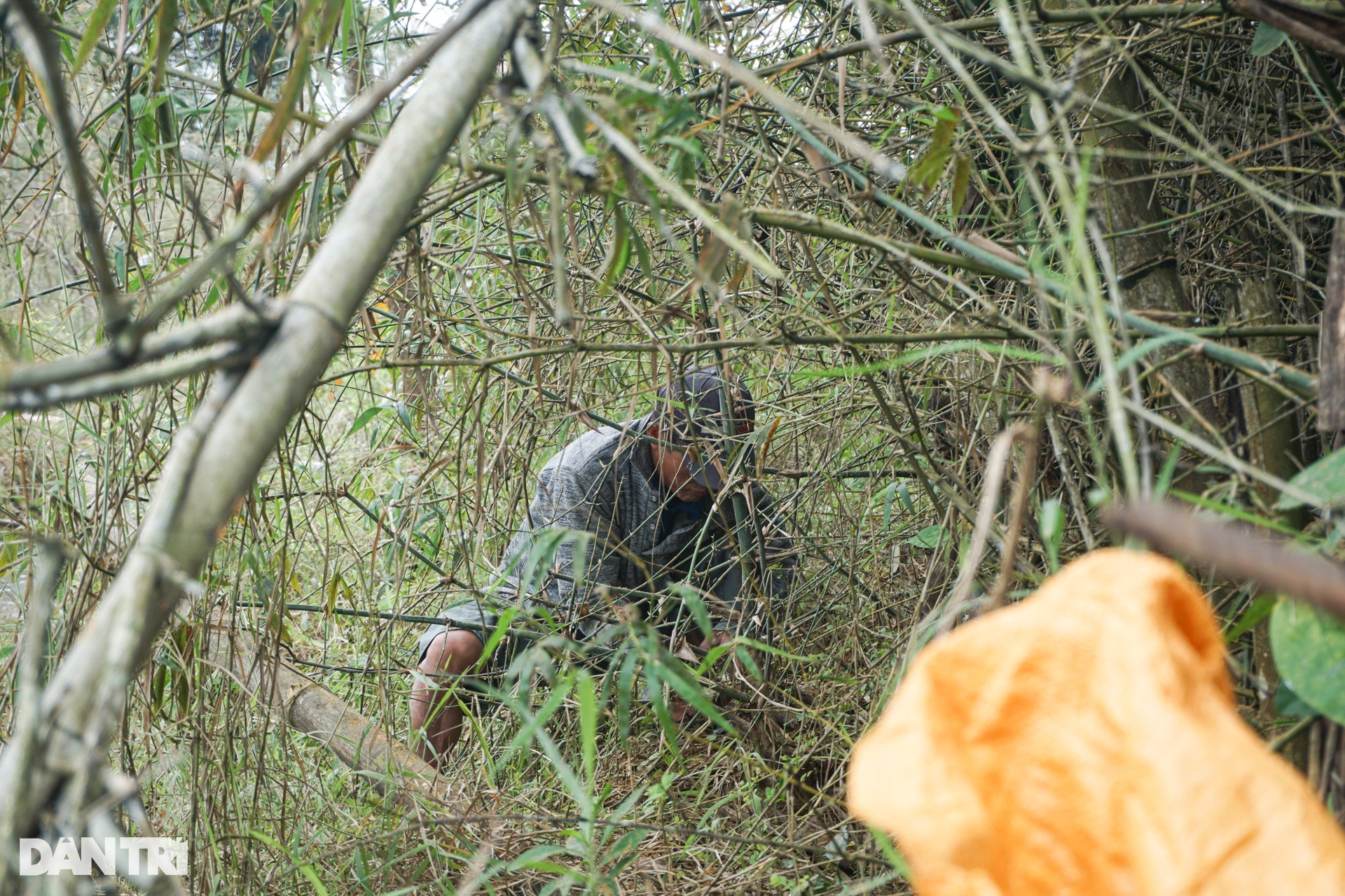 nguoi dan leo bui tre gom manh vo may bay su 22m4 roi tai quang nam 4
