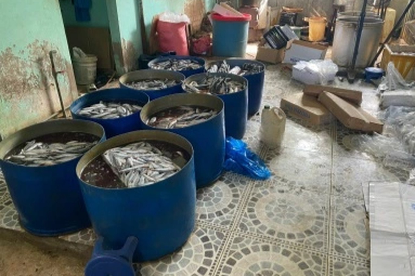 gia lai phat hien hon 1 tan thit ga ca dong lanh khong ro nguon goc xuat xu gia lai phat hien hon 1 tan thit ga ca dong lanh khong ro nguon goc xuat xu