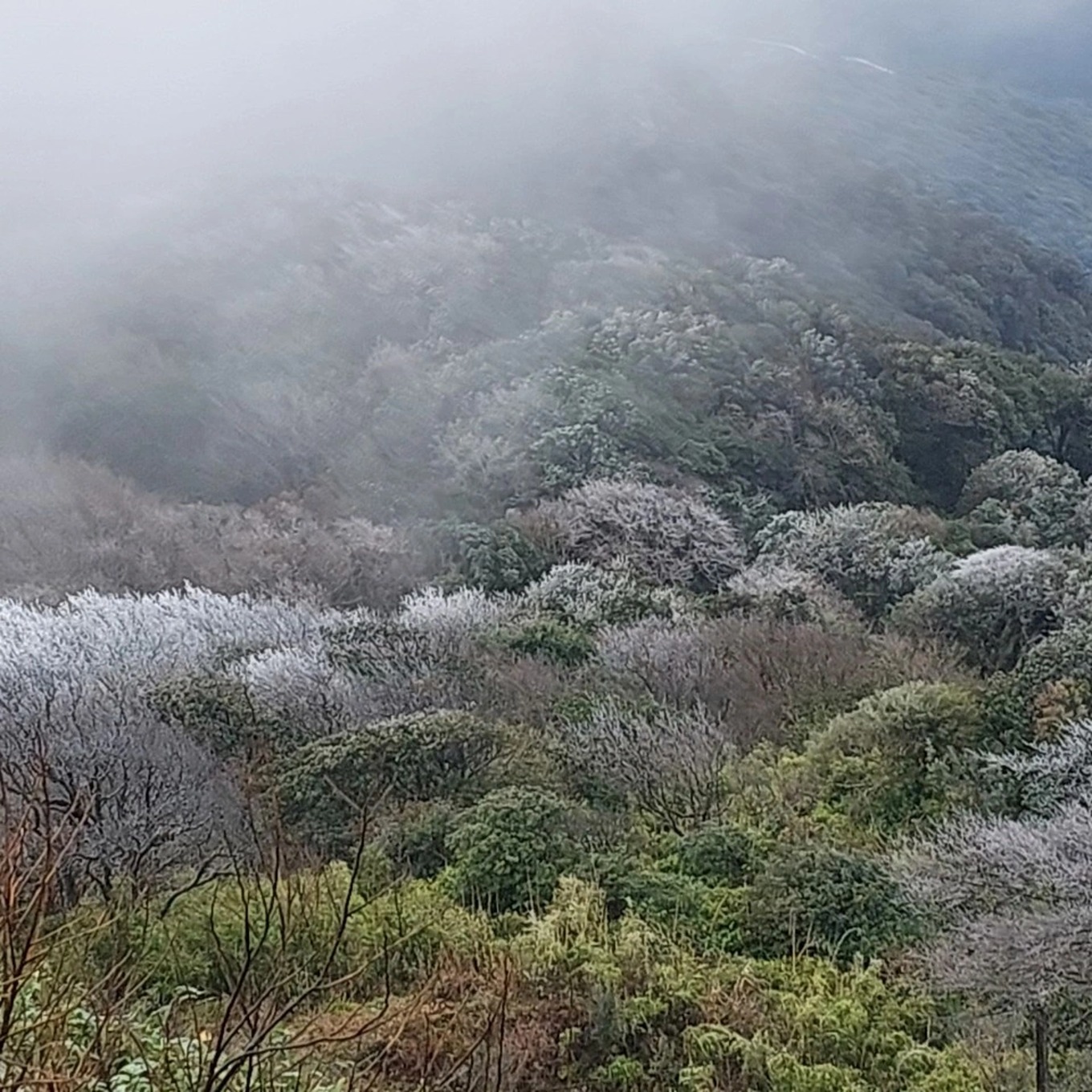 lanh 5 do c dinh nui phia oac phu trang bang gia 4