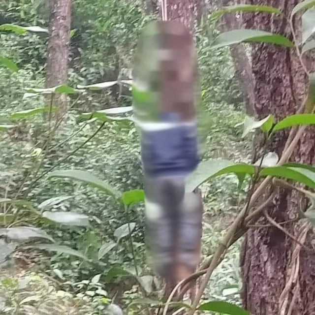 vu nghi an sat hai vo va me vo o nghe an mau thuan khi chia tai san ly hon vu nghi an sat hai vo va me vo o nghe an mau thuan khi chia tai san ly hon