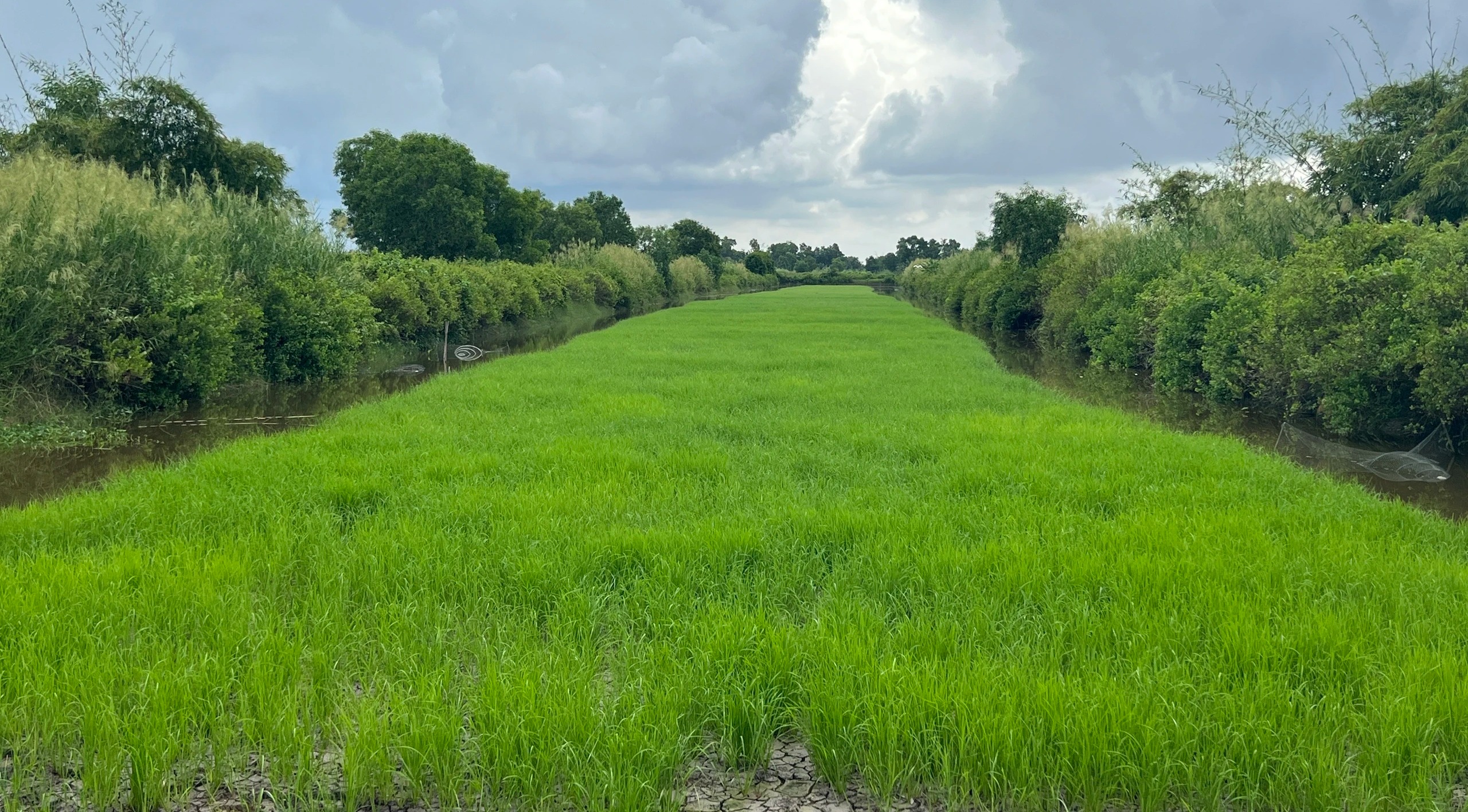 nguyen pho truong phong nong nghiep va phat trien nong thon o ca mau bi khoi to ve hanh vi tham o nguyen pho truong phong nong nghiep va phat trien nong thon o ca mau bi khoi to ve hanh vi tham o