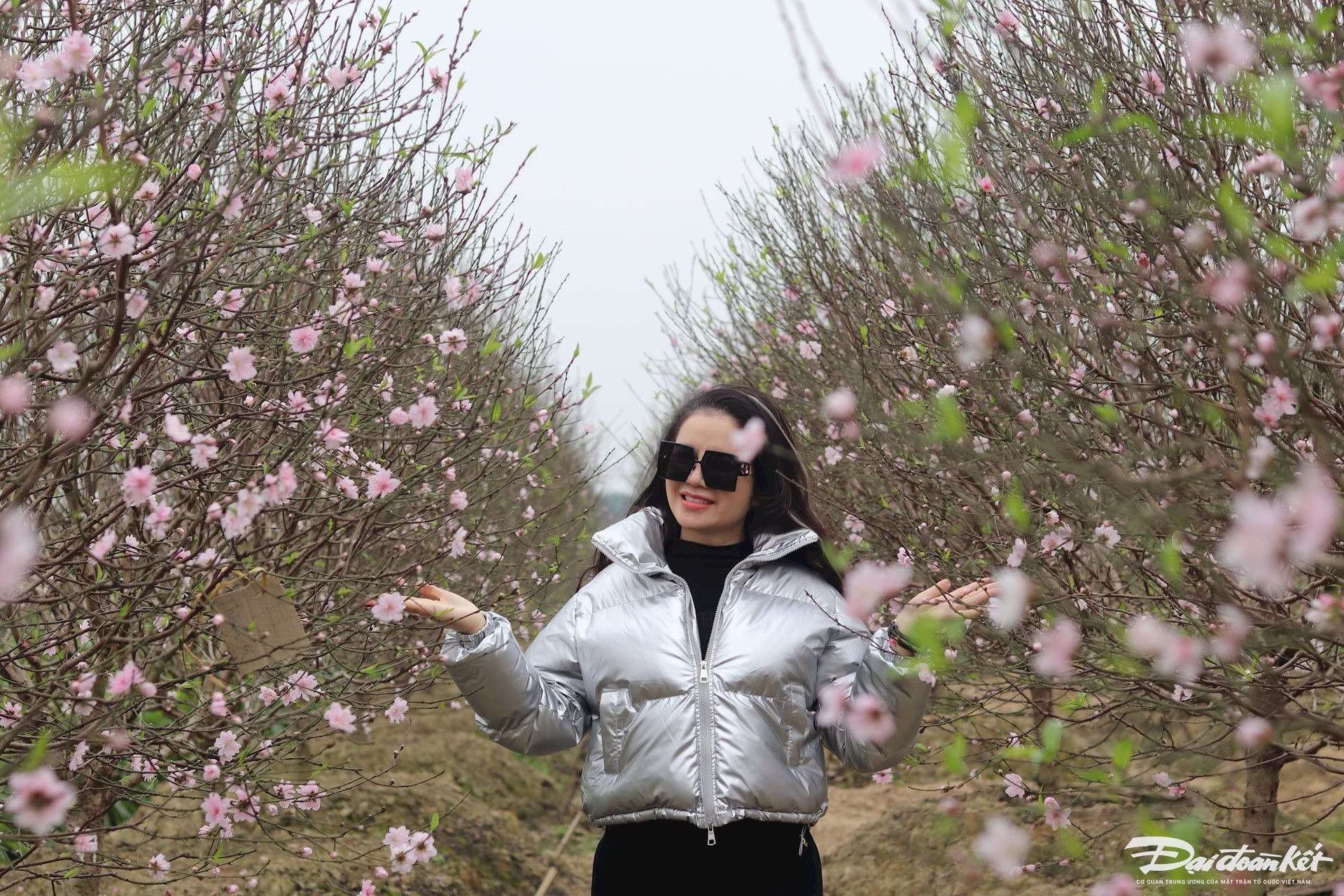 du bao thoi tiet tet nguyen dan nam 2024 cua cac vung tren ca nuoc 