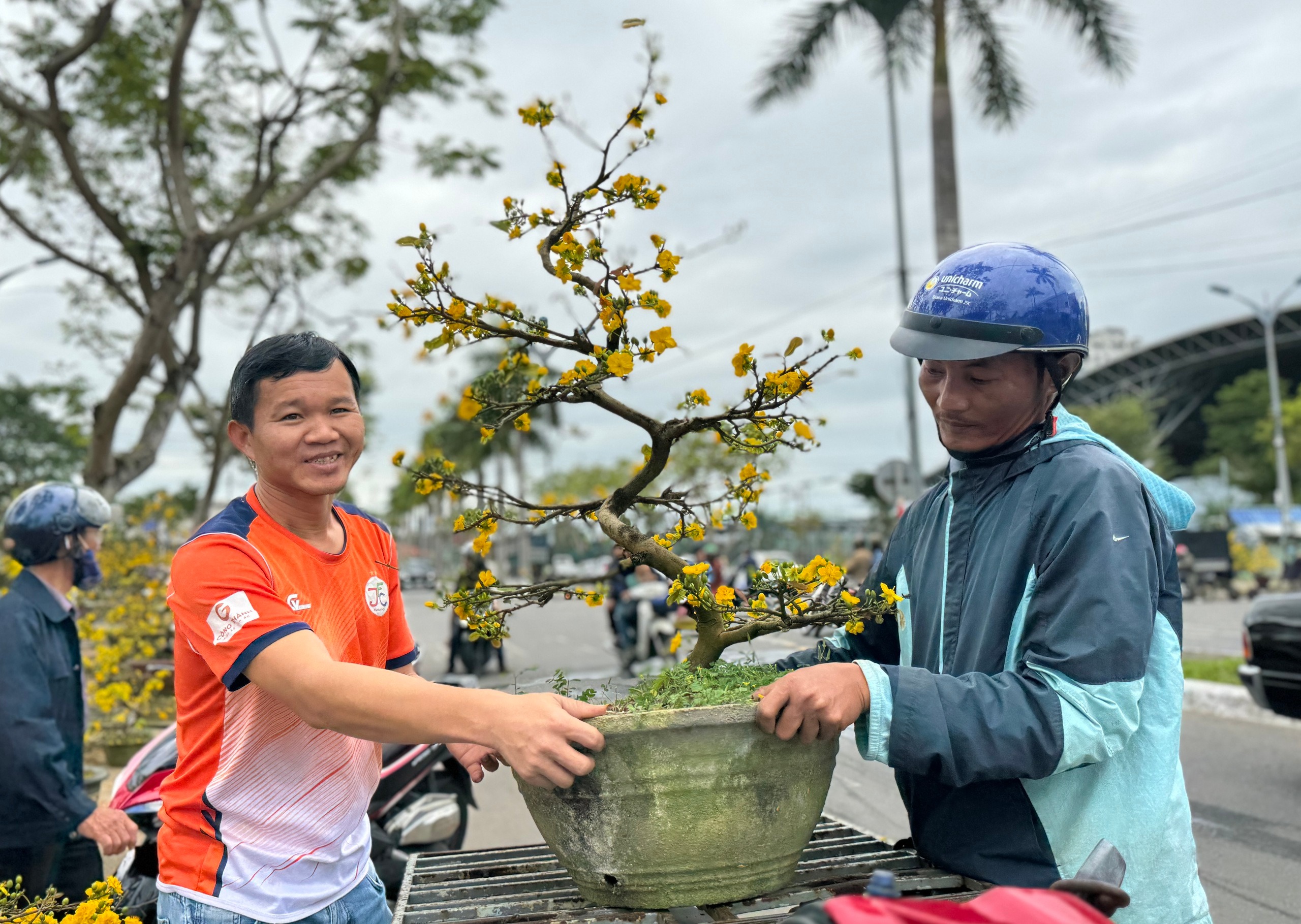 hoa tet o da nang dong loat dai ha gia van khong co nguoi mua 5 hoa tet o da nang dong loat dai ha gia van khong co nguoi mua 5