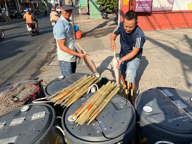 pho ca loc nuong o tp hcm bat dau tat bat truoc ngay via than tai 3