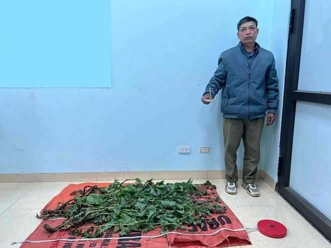 tin tuc phap luat moi nhat ngay 20 3 2024 bat doi tuong trong cay thuoc phien roi tu san xuat chat ma tuy tin tuc phap luat moi nhat ngay 20 3 2024 bat doi tuong trong cay thuoc phien roi tu san xuat chat ma tuy