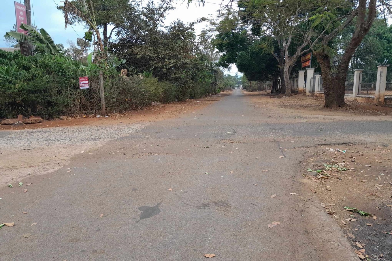 vu 3 anh em ruot thuong vong sau tren duong di hoc ve hoan canh gia dinh kho khan 1