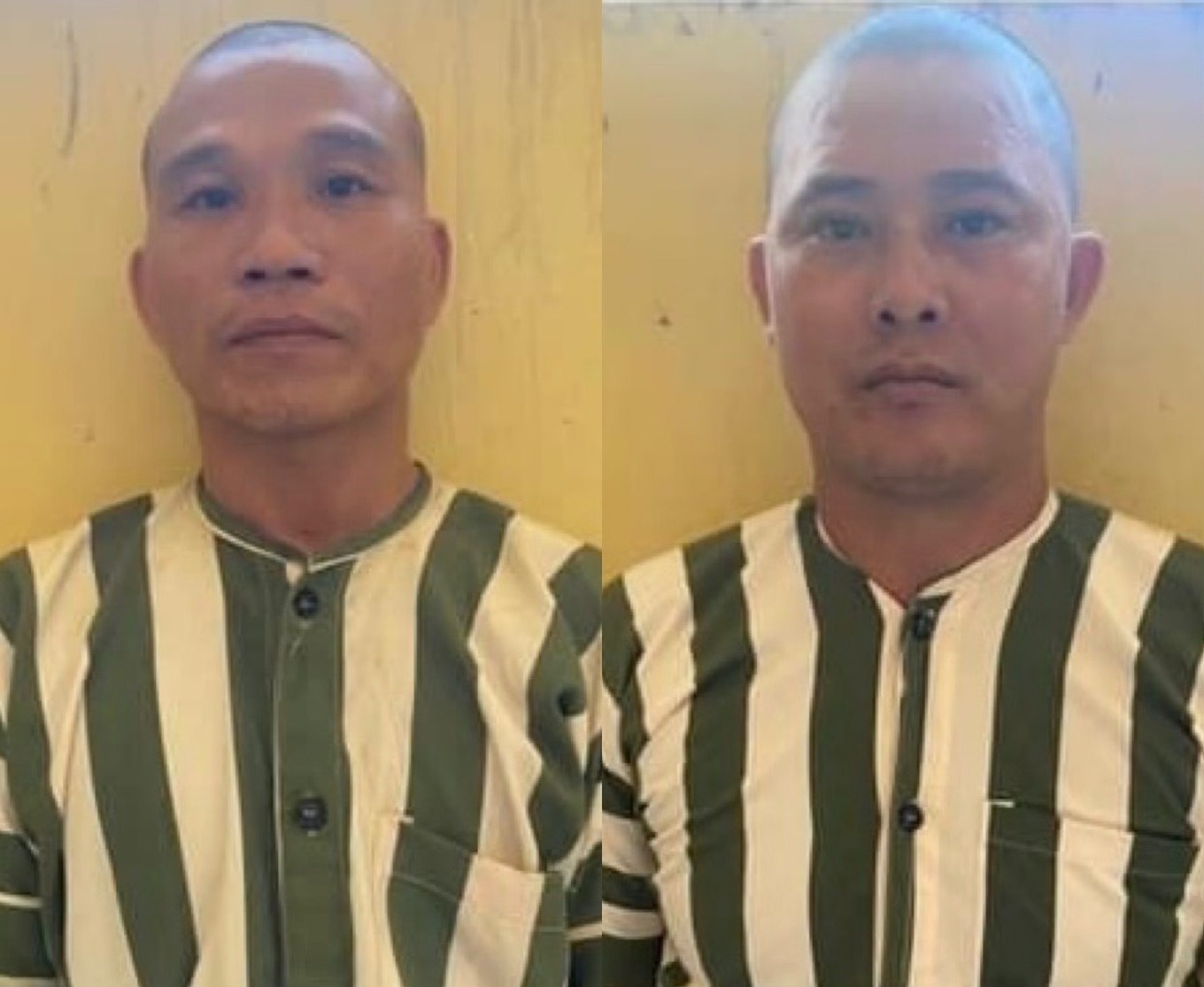 tin tuc phap luat moi nhat ngay 27 3 2024 mau thuan khi hat loa keo keo nguoi dan ong bi chem trong thuong tin tuc phap luat moi nhat ngay 27 3 2024 mau thuan khi hat loa keo keo nguoi dan ong bi chem trong thuong