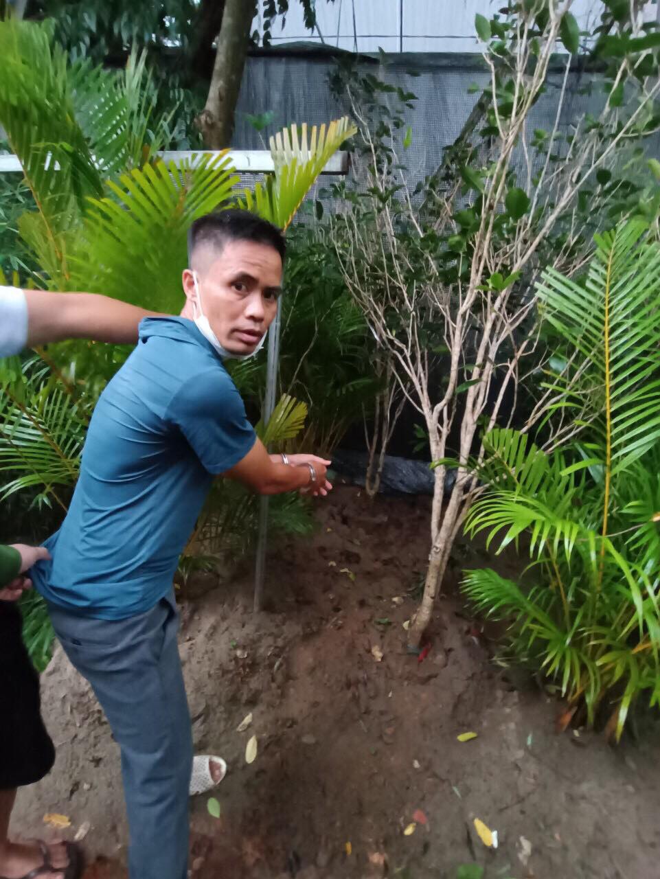 khoi to hung than gay ra hang loat vu cay moc bien mat trong dem khoi to hung than gay ra hang loat vu cay moc bien mat trong dem