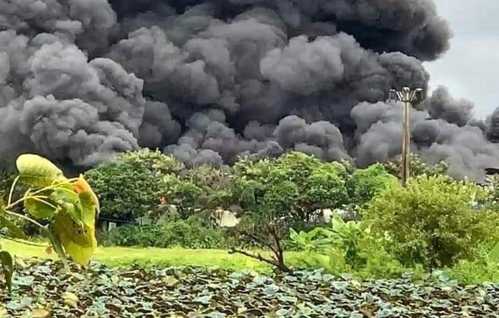 ba hoa ghe tham xuong chan ga goi dem rong 200m2 o thuong tin 1 ba hoa ghe tham xuong chan ga goi dem rong 200m2 o thuong tin 1