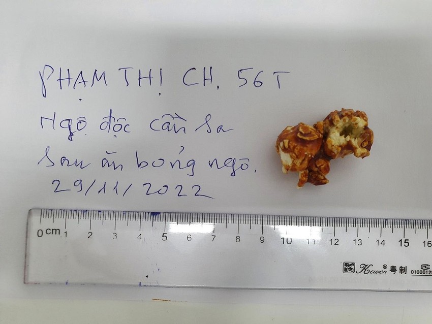 giong len hoi chuong canh tinh tu vu ngo doc bong ngo tam can sa giong len hoi chuong canh tinh tu vu ngo doc bong ngo tam can sa