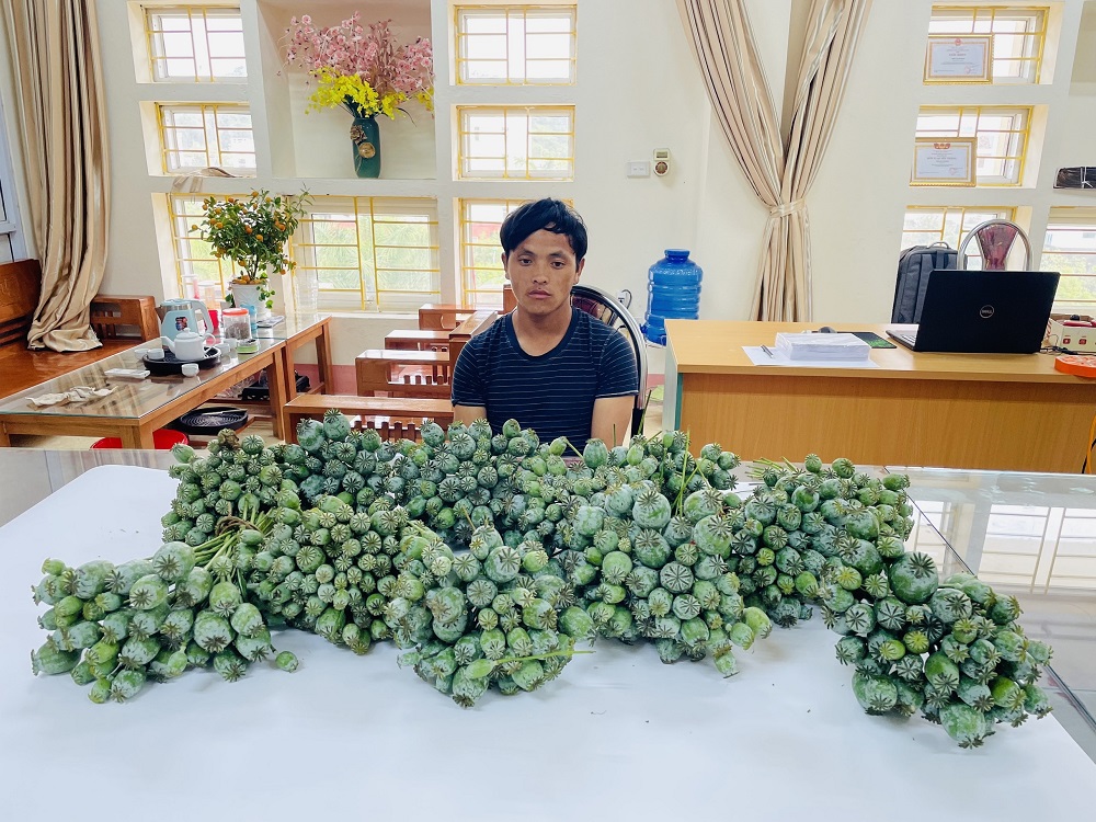 lao cai bat doi tuong mua ban trai phep 8 1 kg canh qua cay thuoc phien lao cai bat doi tuong mua ban trai phep 8 1 kg canh qua cay thuoc phien