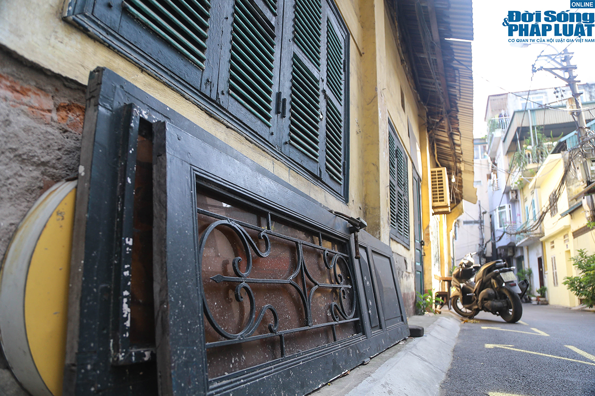 dat vang hang phim dspl 11