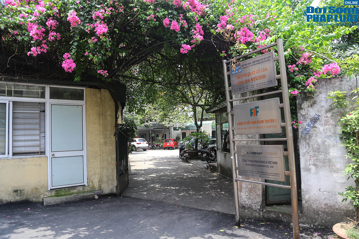 dat vang hang phim dspl 5