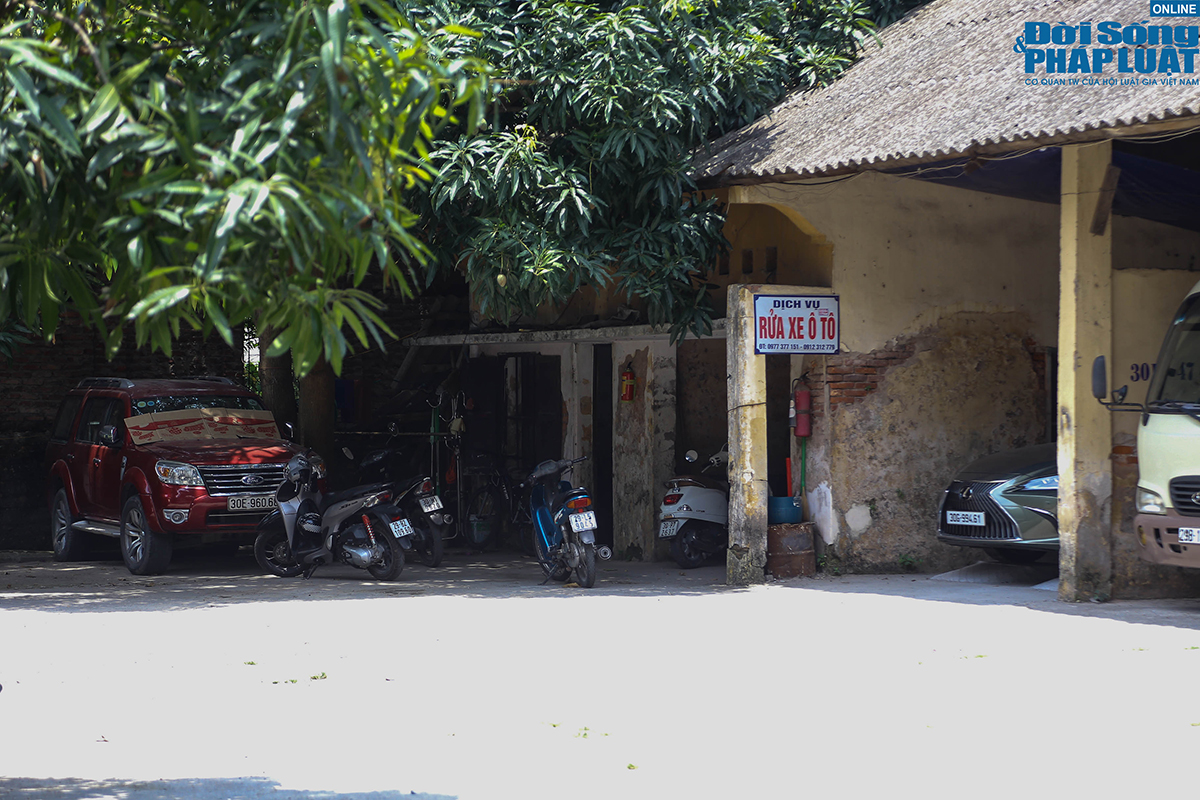 dat vang hang phim dspl 6