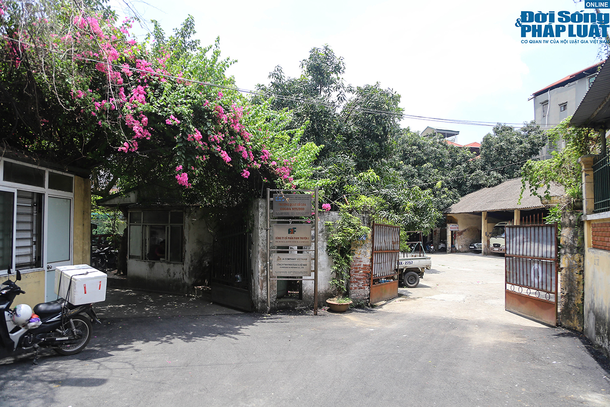 dat vang hang phim dspl 7