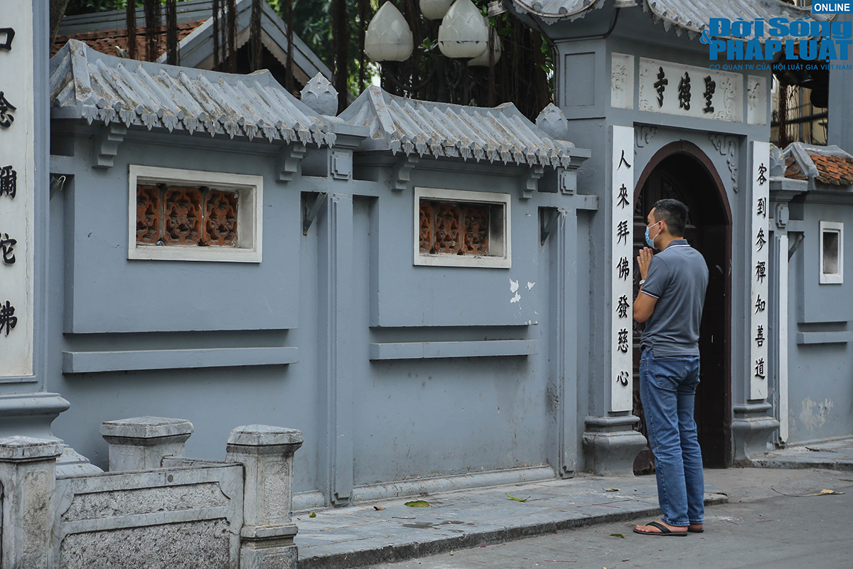 nguoi dan vai vong dspl 6