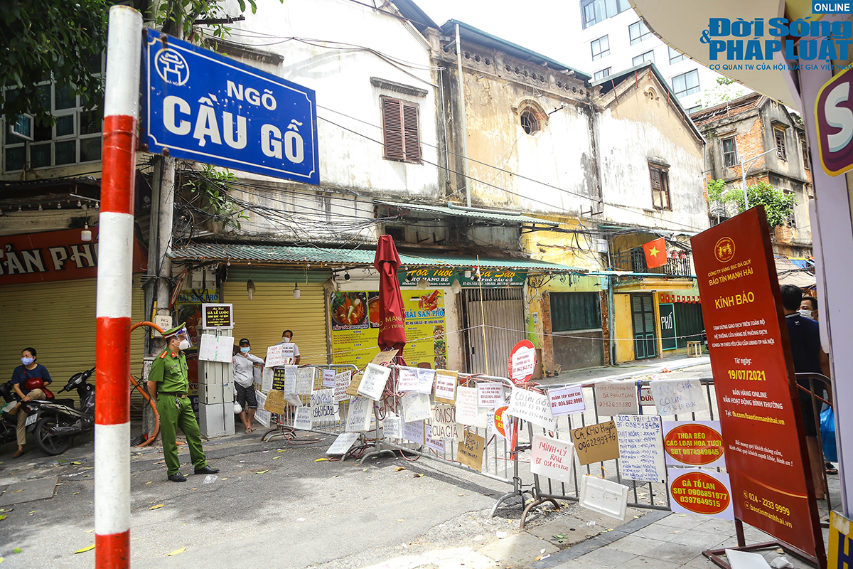 cho nha giau dspl 5 cho nha giau dspl 5