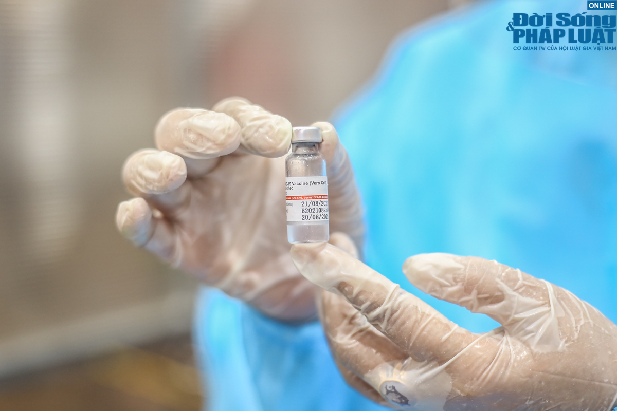 nguoi dan ha noi tiem mui 2 vero cell 10