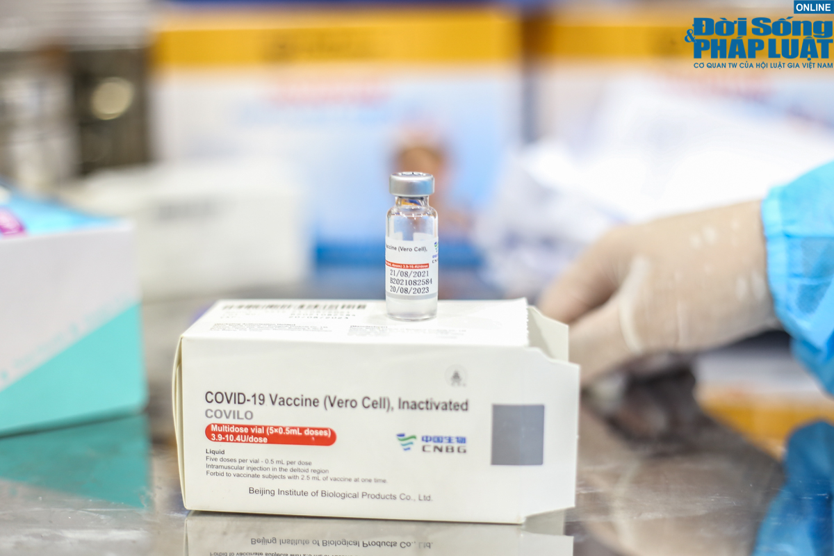 nguoi dan ha noi tiem mui 2 vero cell 11