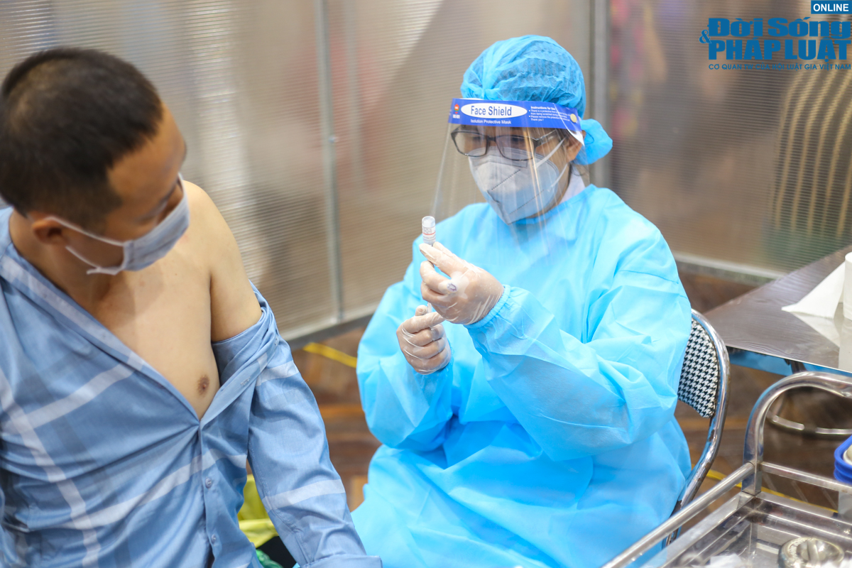 nguoi dan ha noi tiem mui 2 vero cell 12