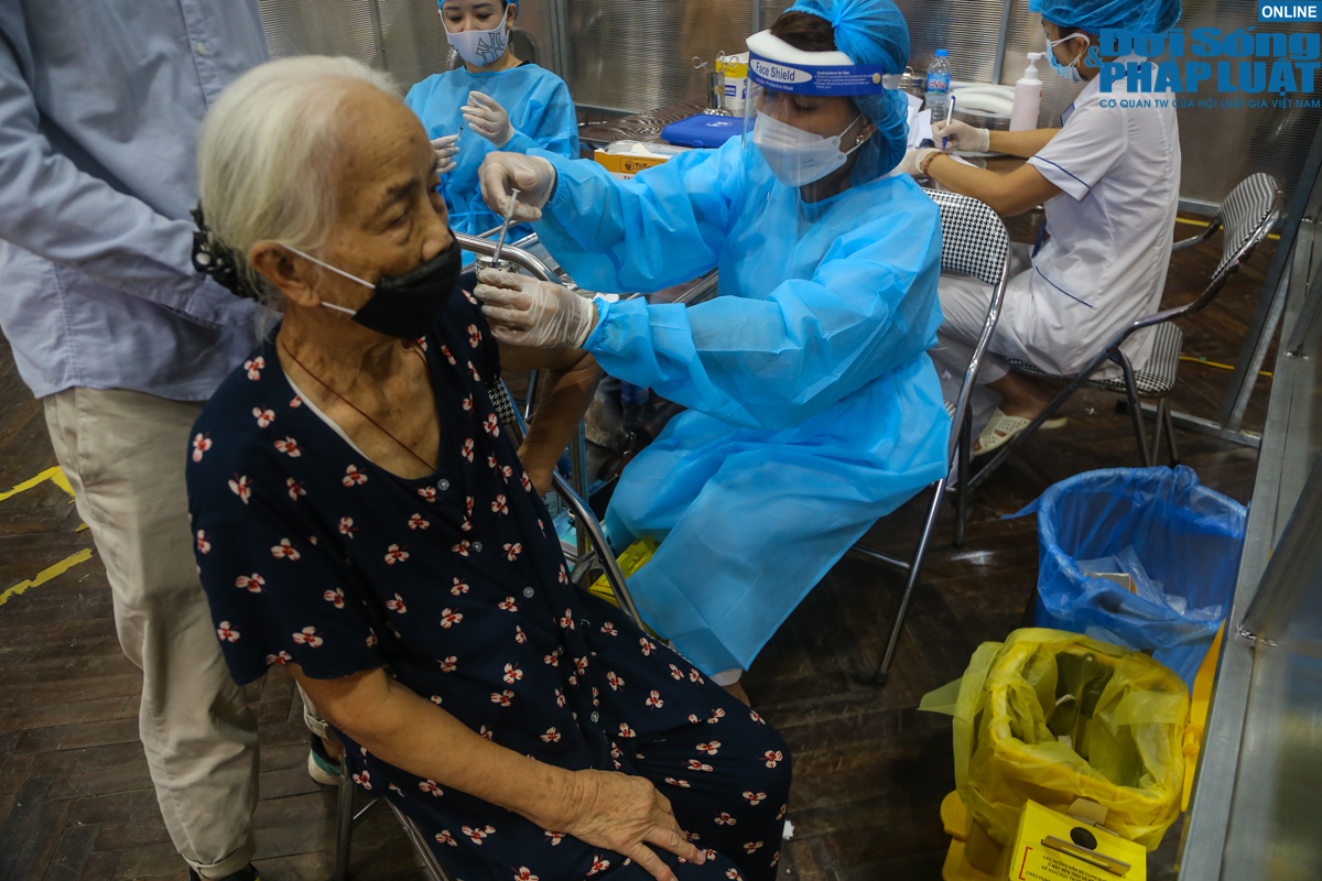 nguoi dan ha noi tiem mui 2 vero cell 7