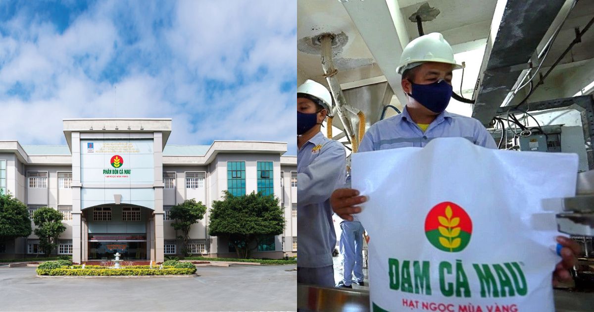 dam ca mau dcm loi nhuan quy iii 2023 giam 90 co hon 7 500 ty dong gui ngan hang