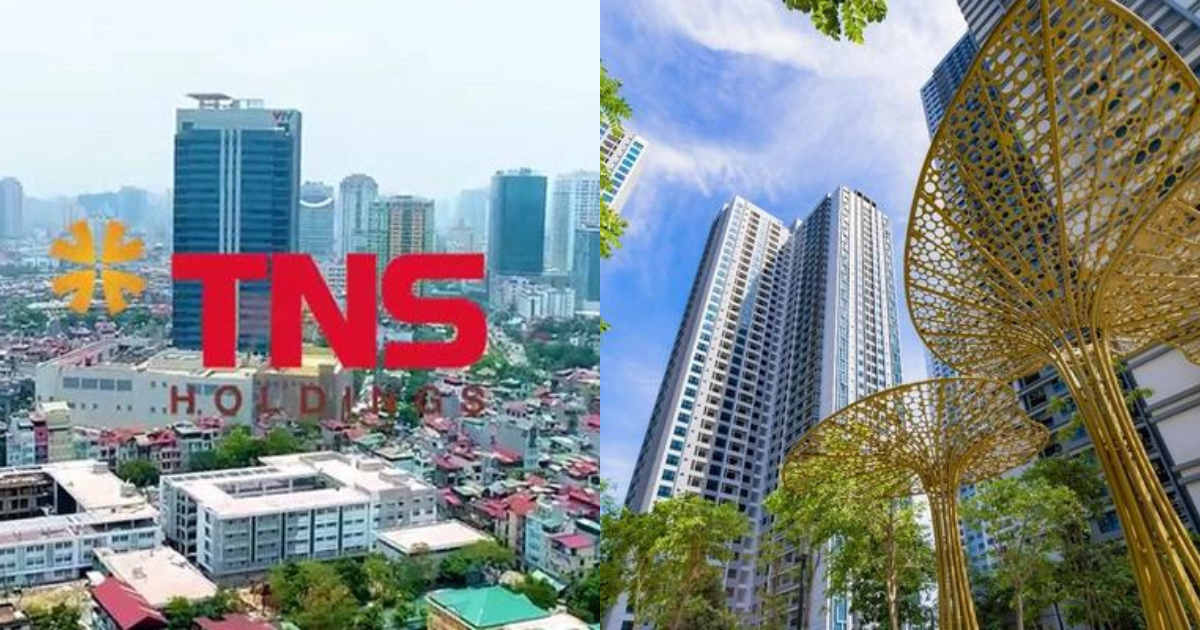 ghe nong nhan su cap cao tai tns holdings tn1 lai bien dong