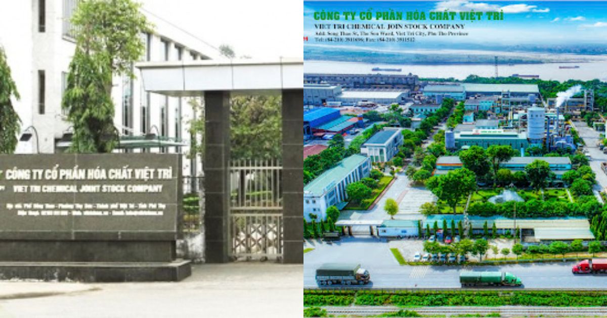 ctcp hoa chat viet tri vitrichem loi nhuan ca nam 2023 sut giam 61 ctcp hoa chat viet tri vitrichem loi nhuan ca nam 2023 sut giam 61