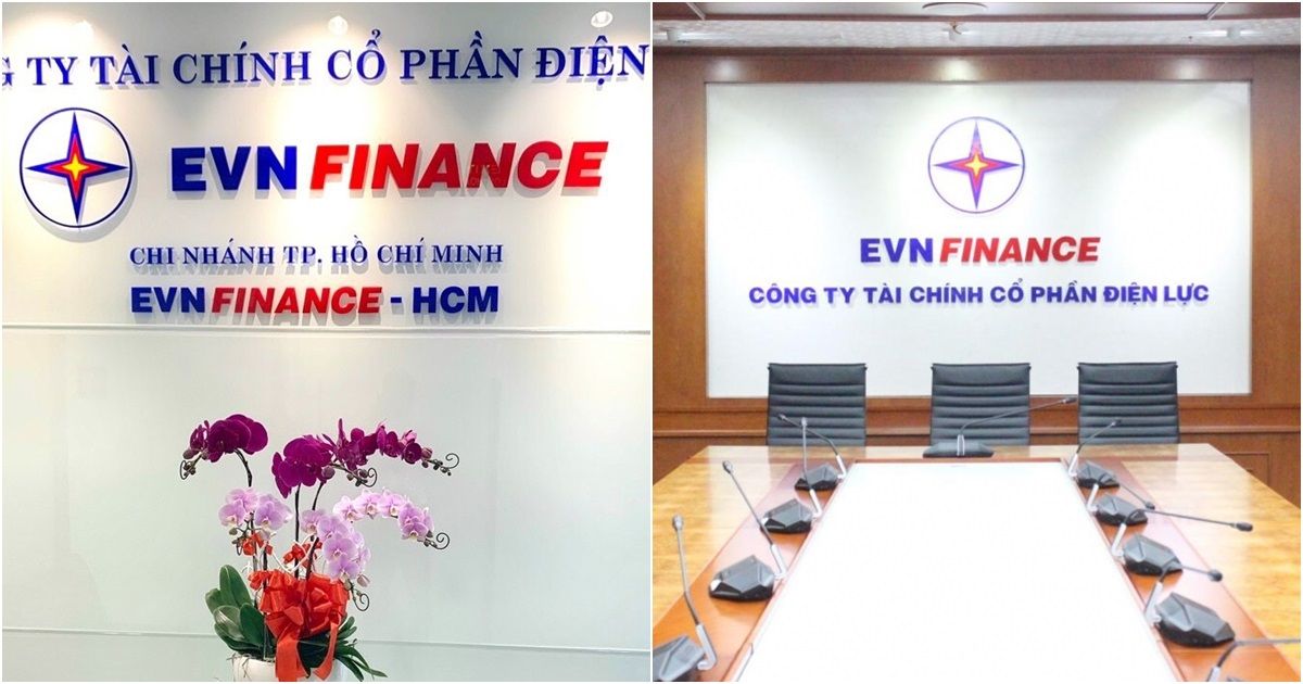 pho tong giam doc evnfinance xin tu nhiem sau hon 1 nam ngoi ghe nong pho tong giam doc evnfinance xin tu nhiem sau hon 1 nam ngoi ghe nong